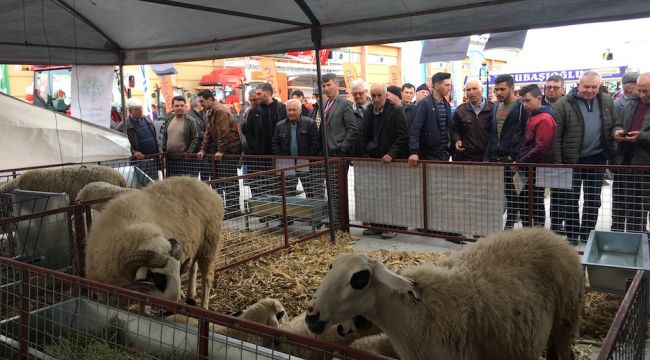 Ege Tarım, Sera Ve Hayvancılık Fuarı 180 Bin Ziyaretçi Ağırladı